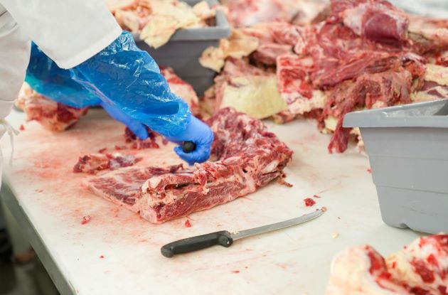 Boning knife cutting meat