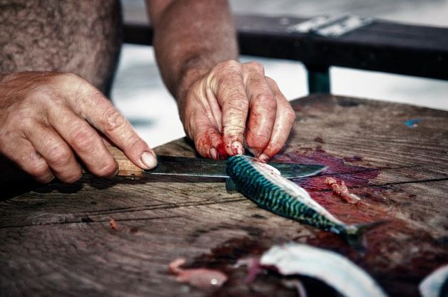Boning knife with fish