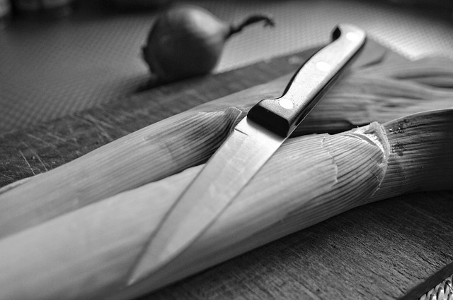 The Different Parts of a Kitchen Knife Names & Definitions