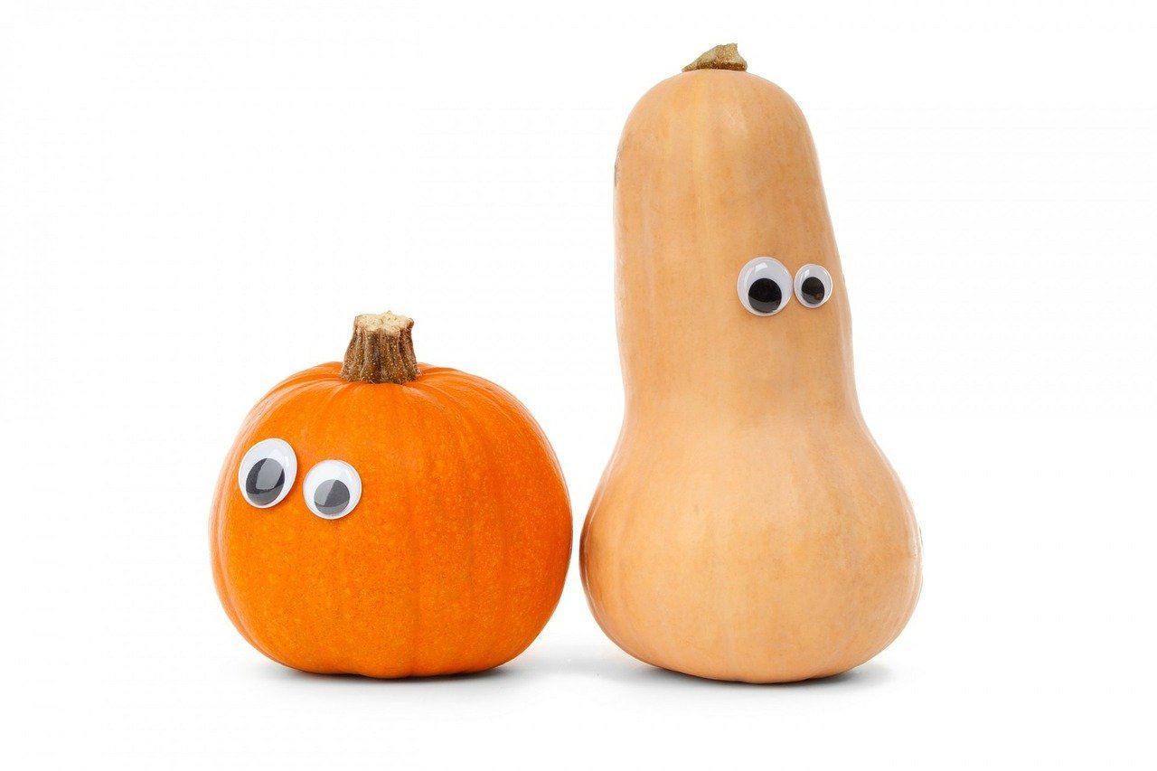 pumpkin vs butternut squash