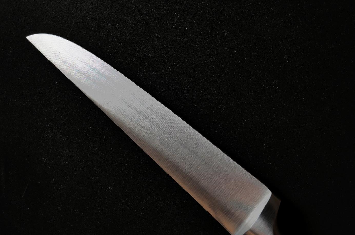 Cooking Essentials: How to Keep Your Kitchen Knife Sharp