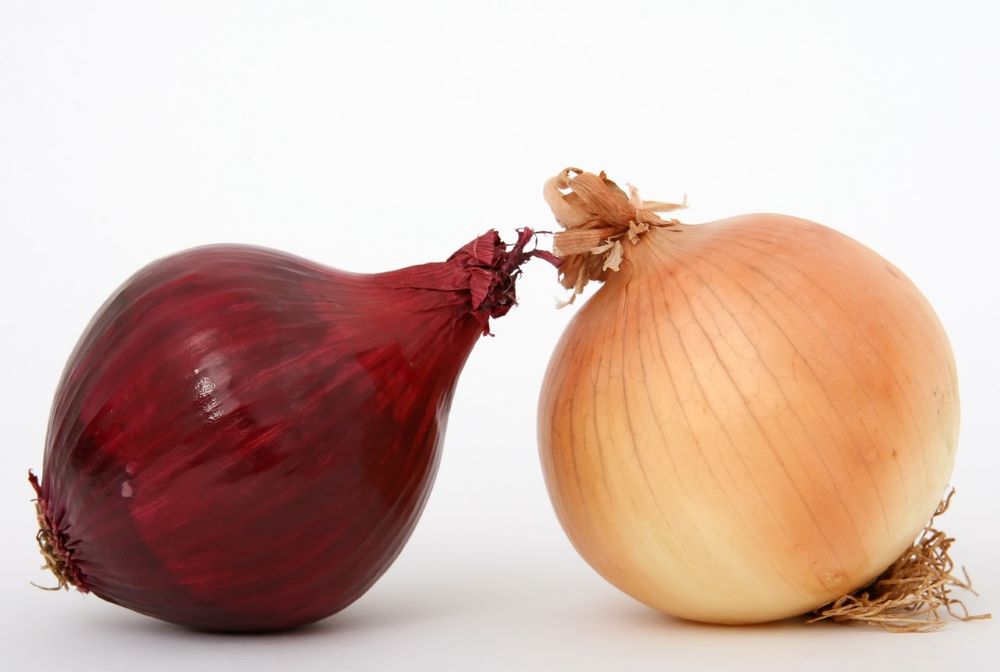 Onion to choose 