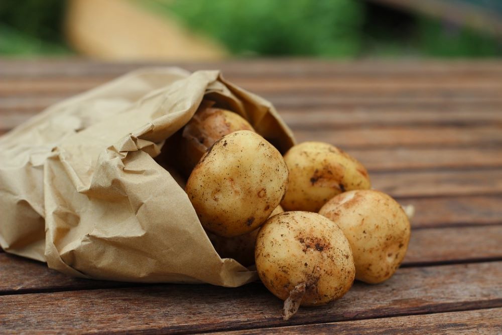 a sack of potatoes 