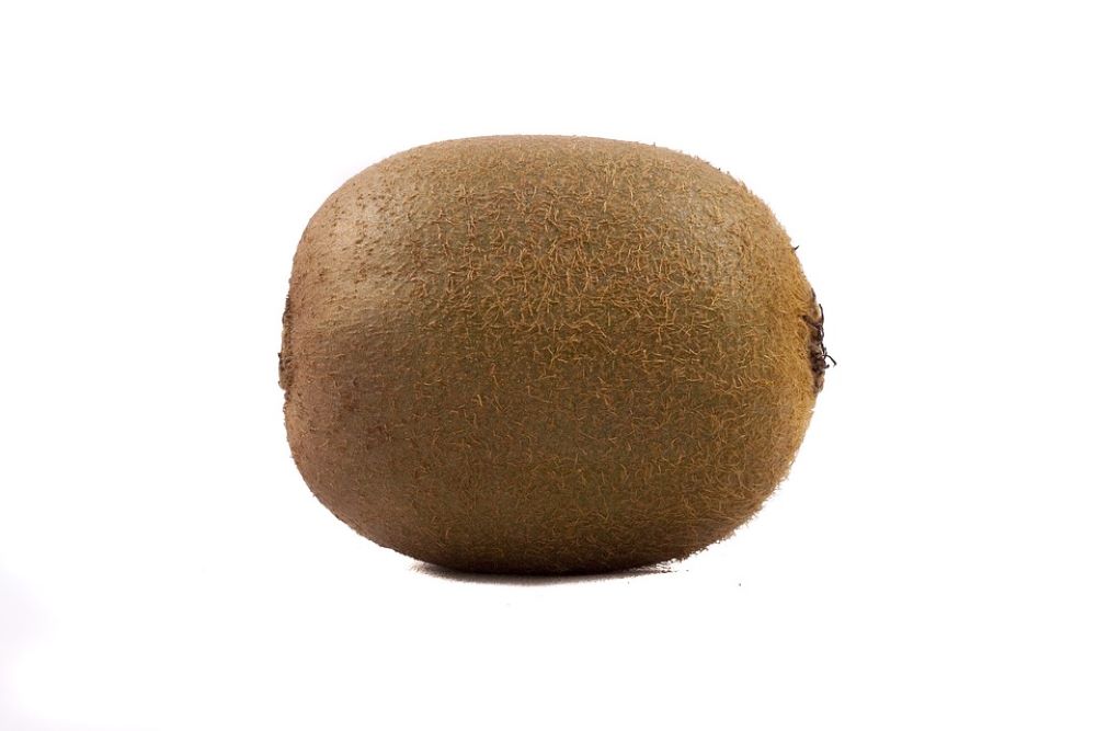 kiwi fruit exterior