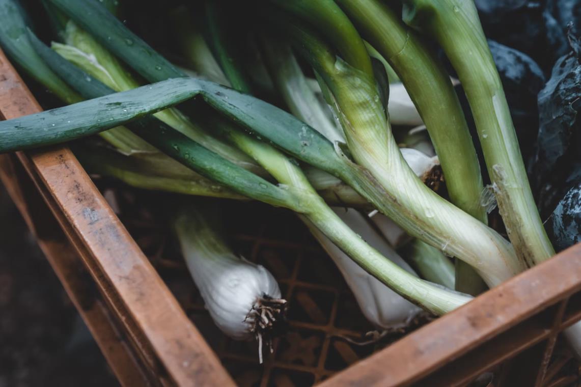 Buying high quality leeks