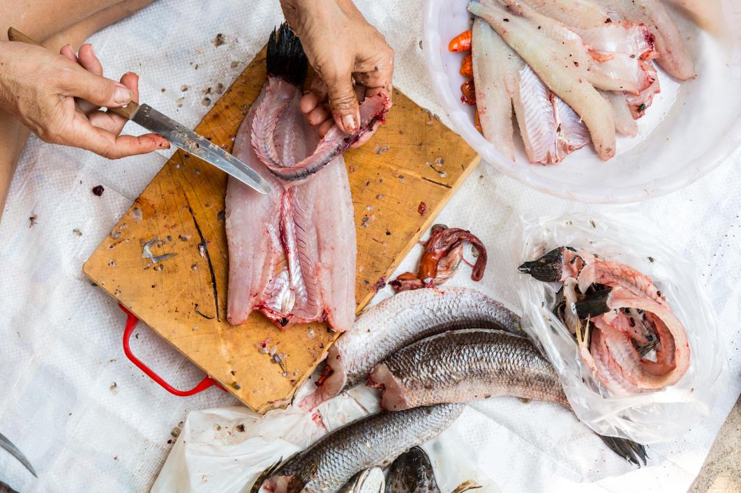 Cutting and scaling fish