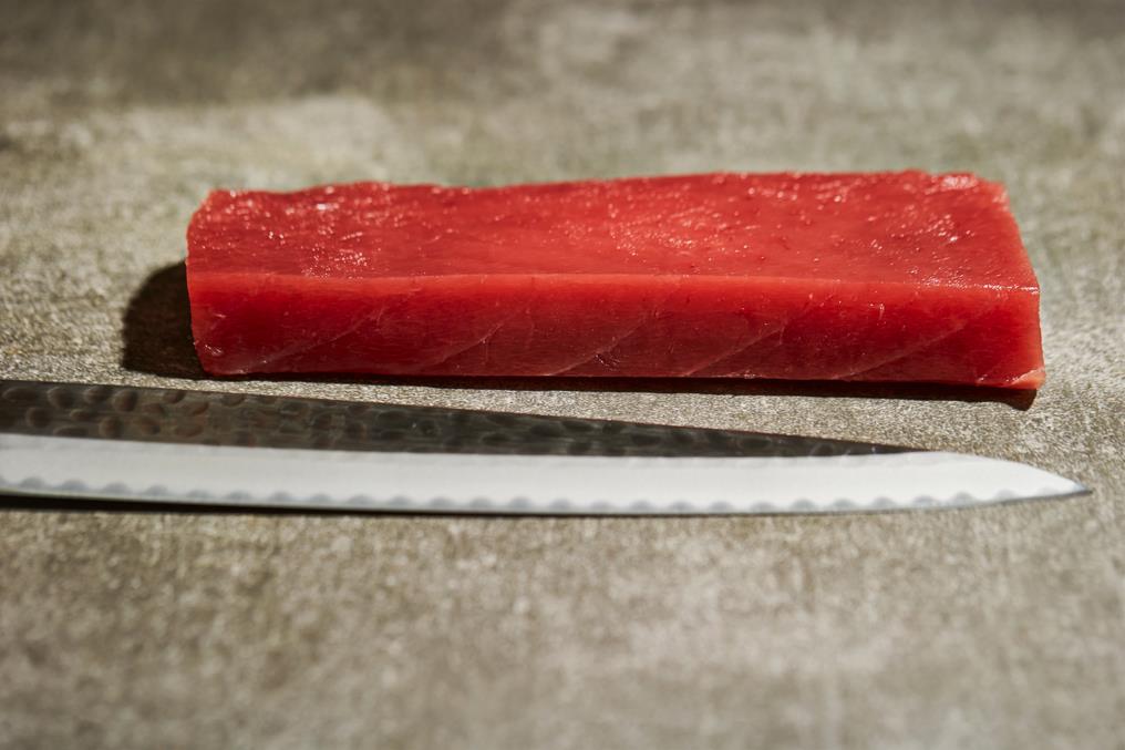 Fish meat and sashimi knife 