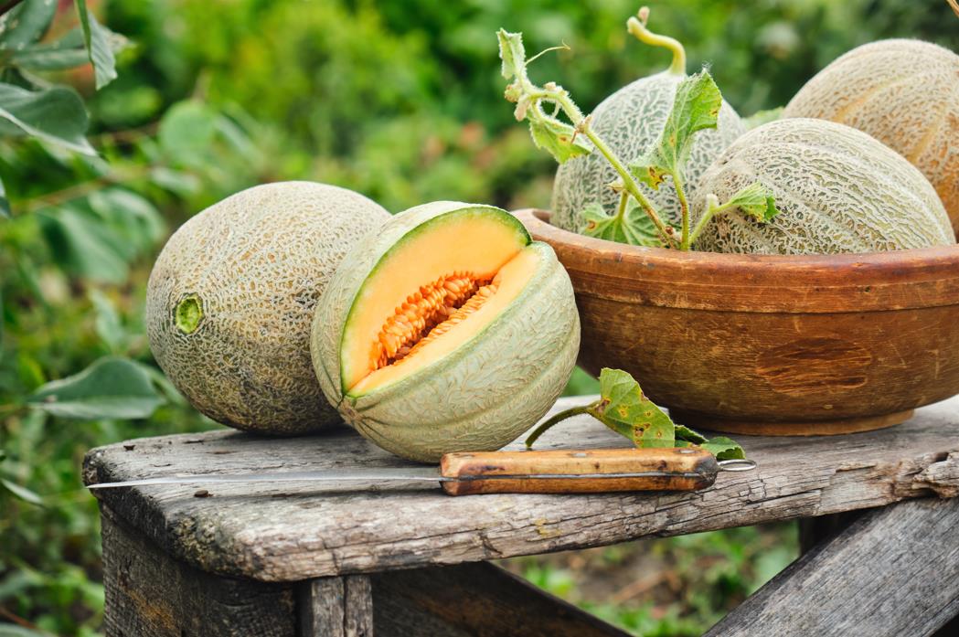 The health benefits of cantaloupe