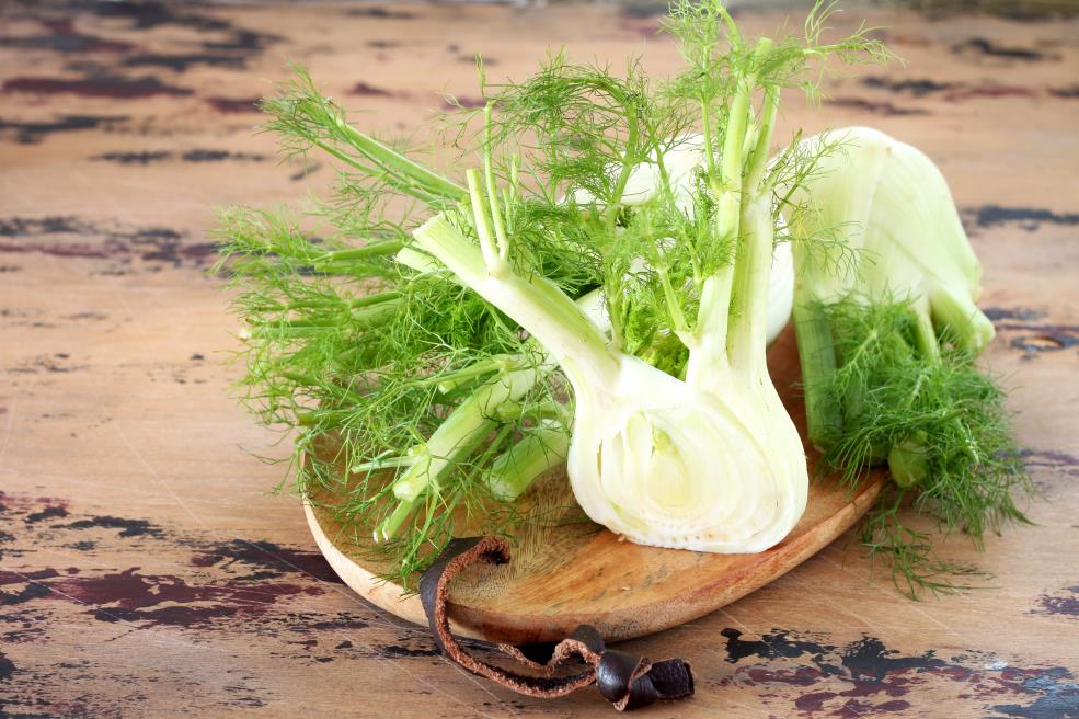 What is fennel ?