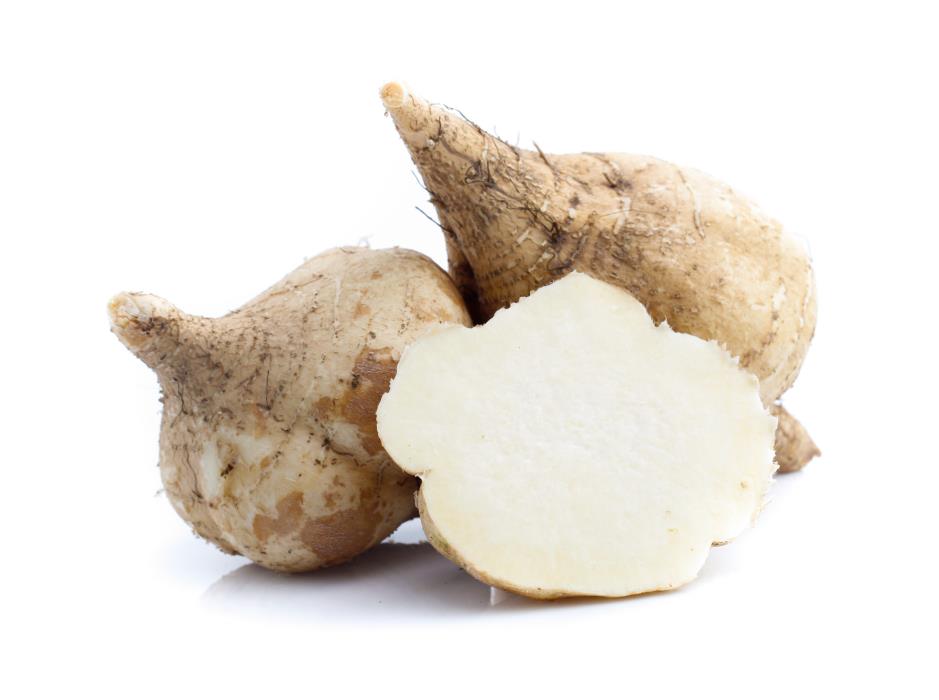 What is jicama?