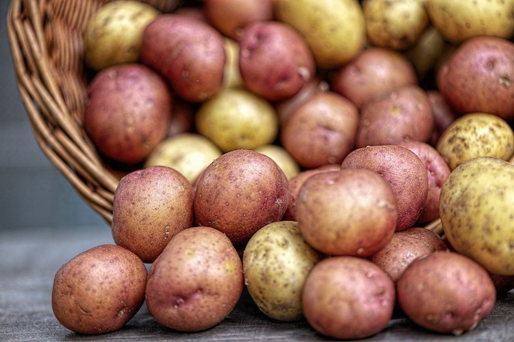 a basket of potatoes 