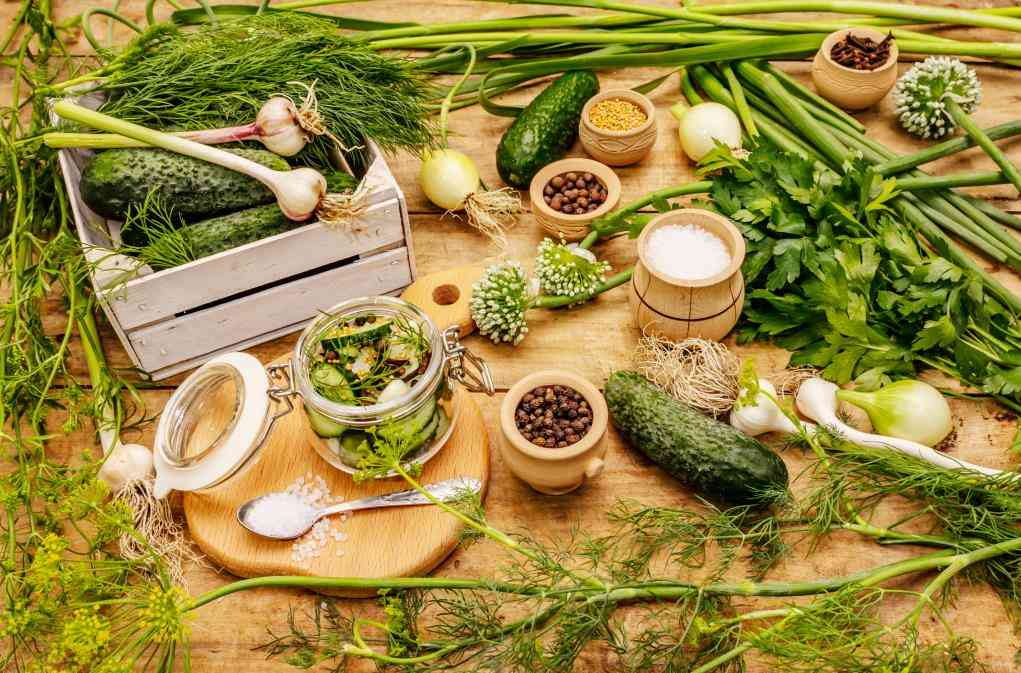 Concept de marinage de légumes.  Processus de cuisson, épices, herbes fraîches parfumées