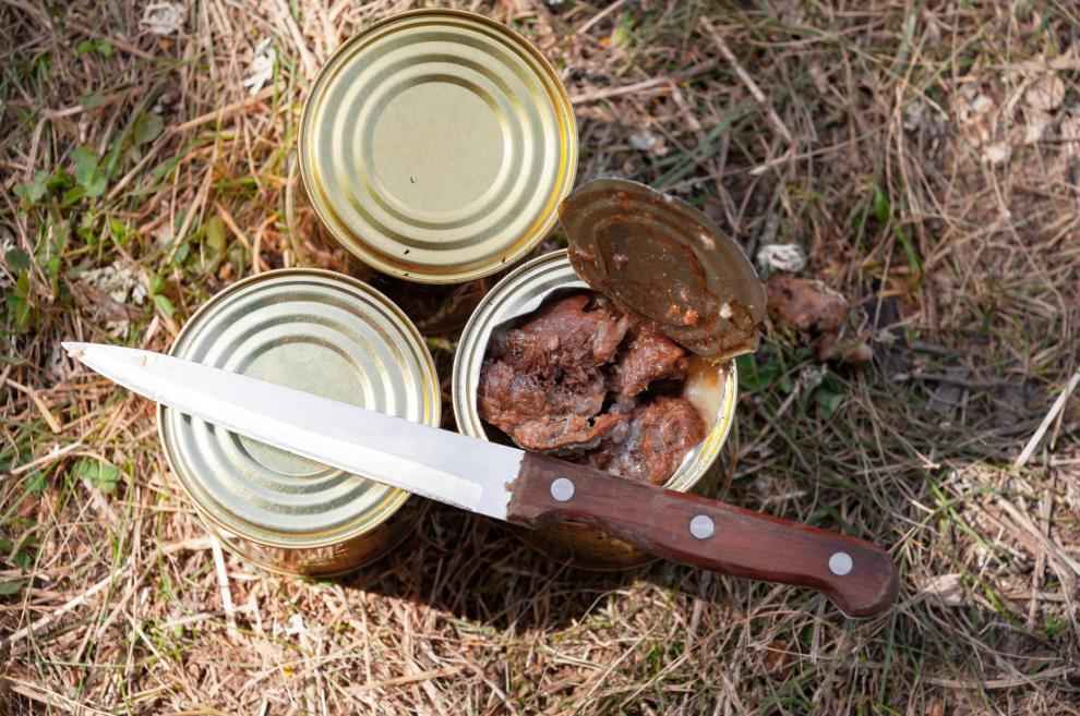 What to look for when choosing a camping cooking knife