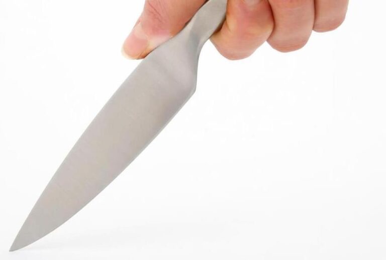 Choosing the Best Chef Knife Size A Full Guide HDMD Knives Blog