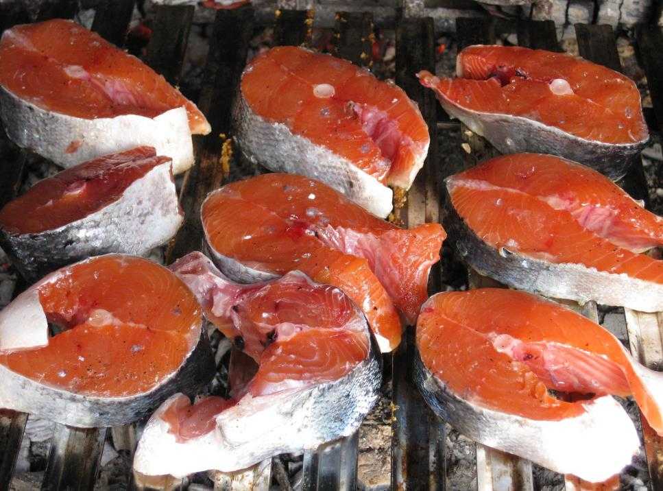 fish steaks