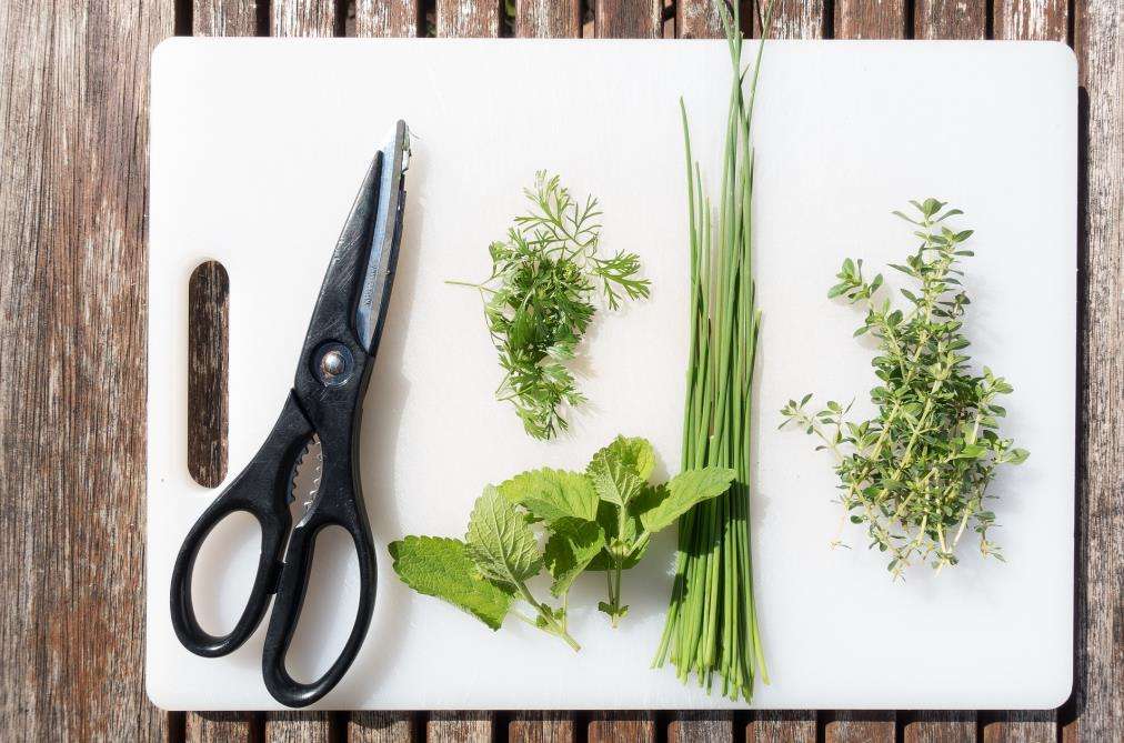 Why we do not recommend plastic cutting boards