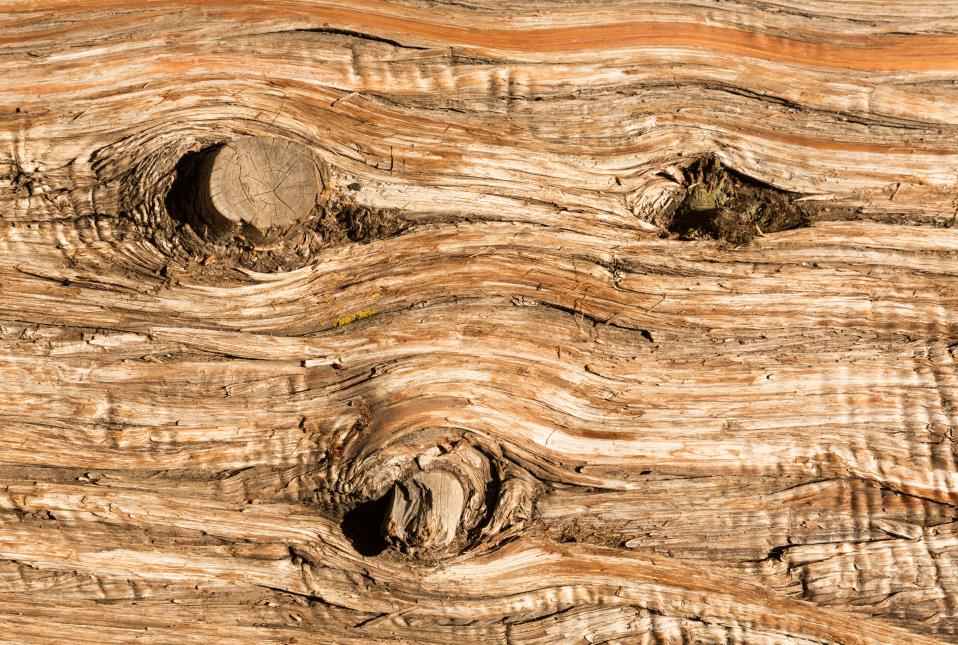 How Is Cedar Wood as a Cutting Board Material