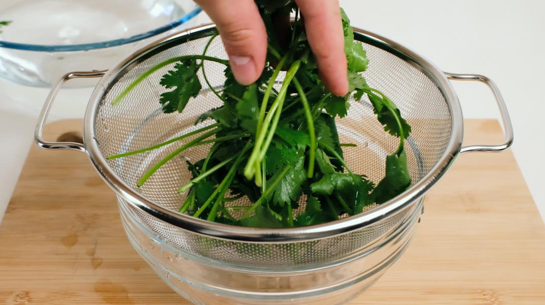 Preparing cilantro by washing it first
